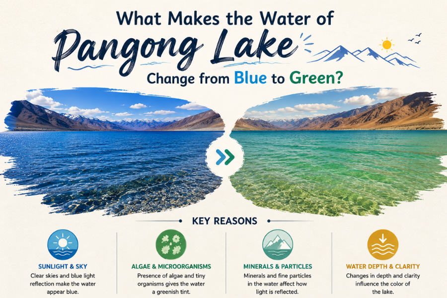 What Makes the Water of Pangong Lake Change from Blue to Green?
