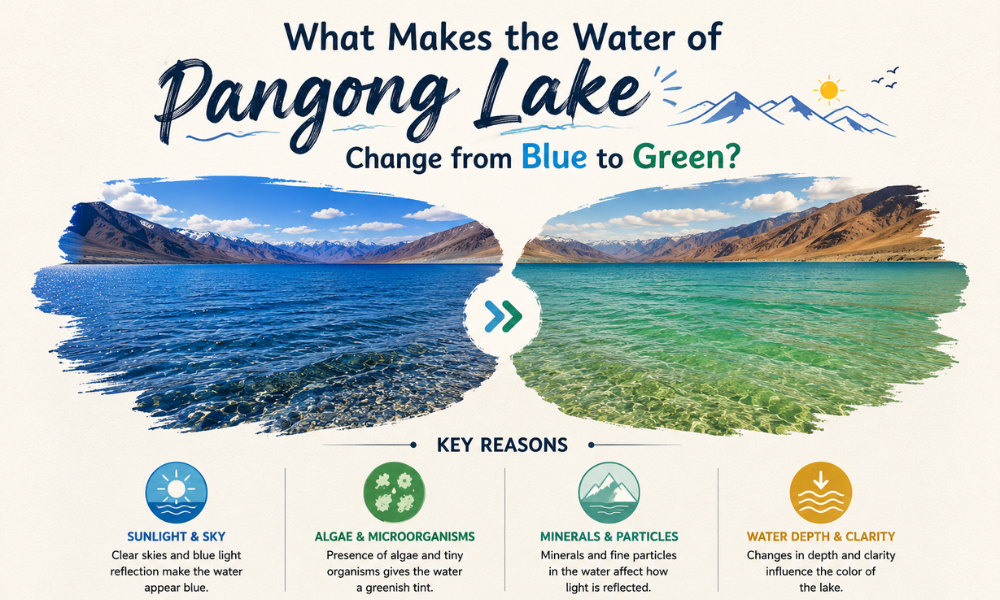 What Makes the Water of Pangong Lake Change from Blue to Green?